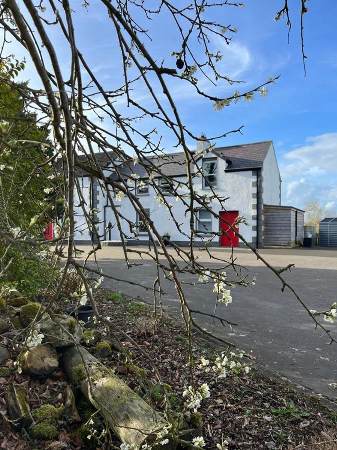 Willow House Bed & Breakfast And Orchard Studios Self Catering リマバディ エクステリア 写真