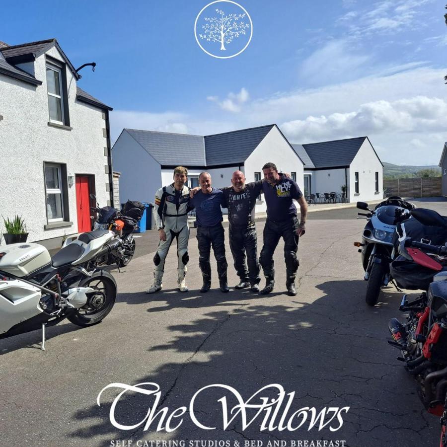 Willow House Bed & Breakfast And Orchard Studios Self Catering リマバディ エクステリア 写真
